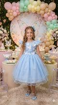 Vestido Marie Jardim Encantado Mel Azul Bebê (VESMARIAZLBB)